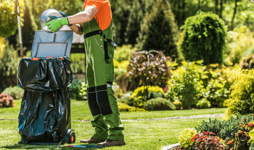 YARD CLEANUP