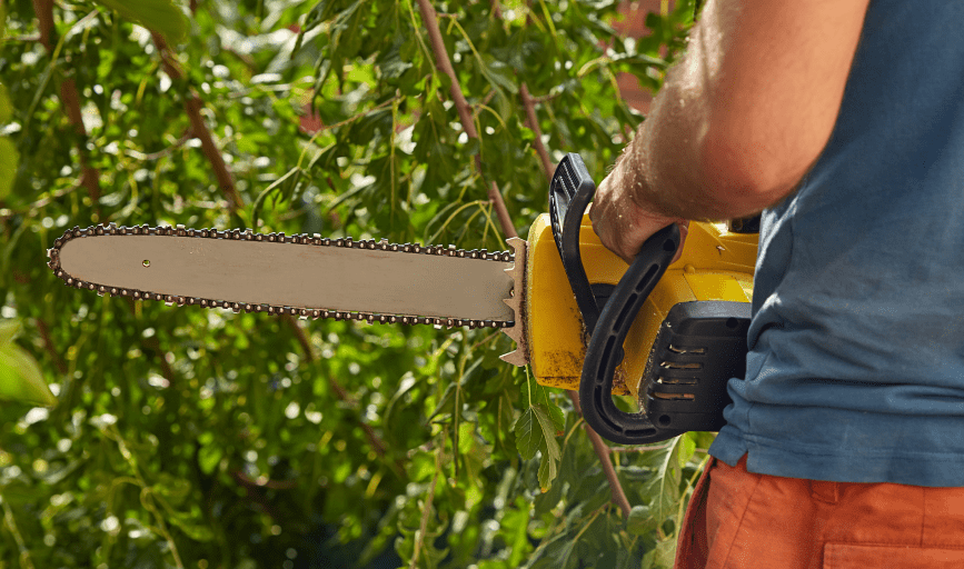 TREE TRIMMING