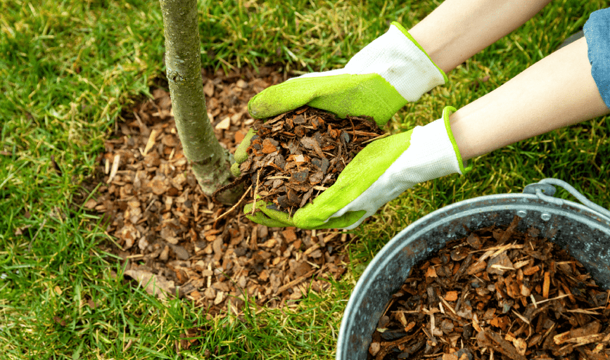 MULCHING