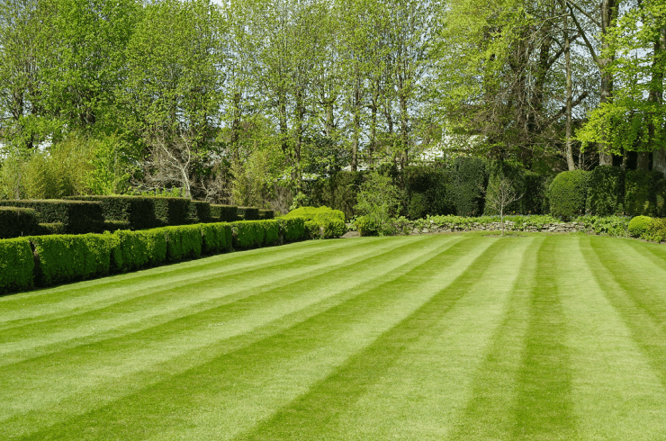 M I Lawn Care